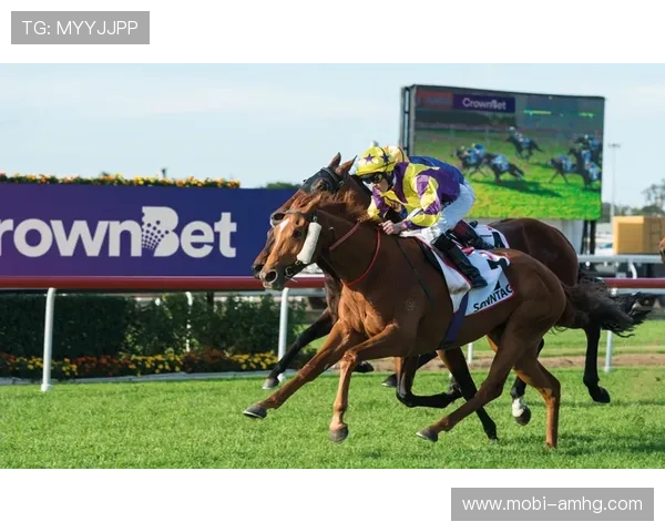 皇冠体育平台的移动端体验优化，随时随地享受高品质体育竞猜娱乐